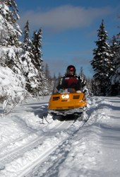 winter bruce peninsula